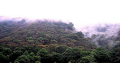 Ökologische Regionen Von Nicaragua