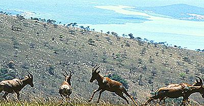 Regiunile Ecologice Din Rwanda