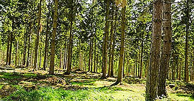 Régions Écologiques Du Royaume-Uni