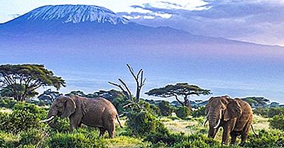 Hoogste Bergen In Tanzania