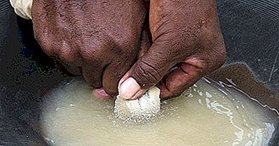 Comment Les Mines D'Or Au Pérou Empoisonnent La Forêt Amazonienne Avec Du Mercure