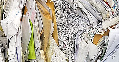 Wie Oft Kann Papier Recycelt Werden? | 2022