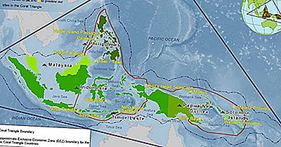 Betydningen Af ​​At Bevare Coral Triangle