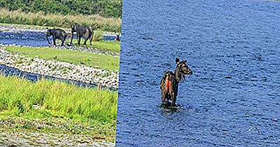 Indiens Nationalparks