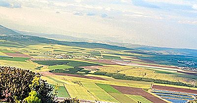 Valea Jezreel: Coșul De Frișcă Al Israelului