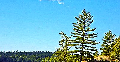 Wie Groß Ist Lake Huron?