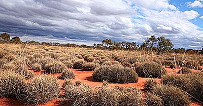 Spazio  Ècru Largest-deserts-in-australia