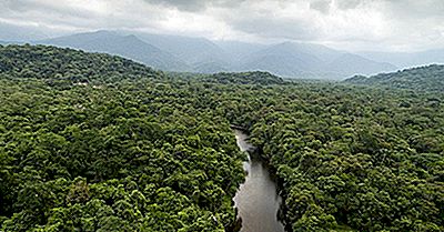 Major Rivers Of Ecuador