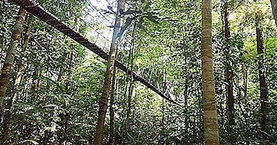 Principais Parques Nacionais Da Malásia