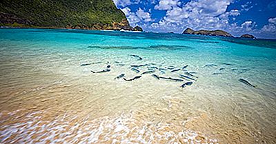 Die Marine Parks Von New South Wales, Australien