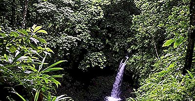 Parco Nazionale Morne Trois Pitons, Dominica