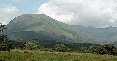 Mount Nimba Strikt Naturreservat I Guinea Och Elfenbenskusten