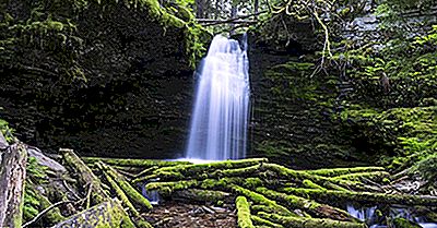 Les Forêts Nationales Dans L'Ouest Des États-Unis