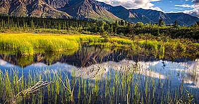 Spot Del Parco Nazionale: Denali National Park And Preserve