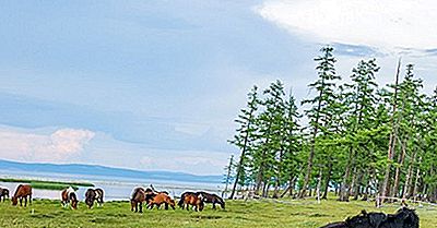 Nasjonalparkene I Mongolia