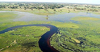 Delta Okavango Din Botswana