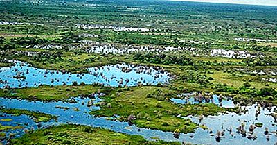 riviere okavango