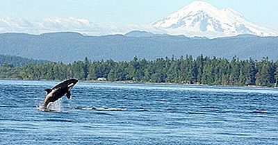 Puget Sound, Vereinigte Staaten