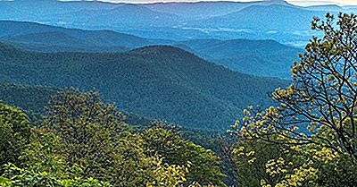 Los Bosques Nacionales Del Sur De Los Estados Unidos