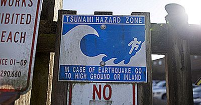Tsunamis: Cuando La Tectónica Y El Agua Se Combinan