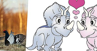 ¿Los Rituales Prehistóricos De Apareamiento De Dinosaurios Eran Similares A Los De Las Aves Modernas?