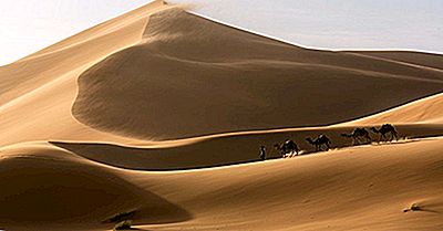 Quali Animali Vivono Nel Deserto Del Sahara?