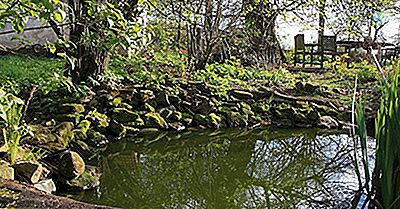 Quais São As Diferenças Entre Um Lago E Uma Lagoa?