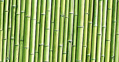 Quais São As Diferentes Aplicações Do Bambu?