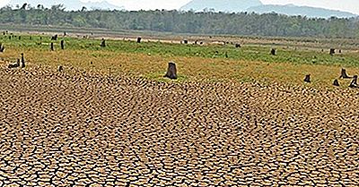 ¿Qué Son Las Sequías Y Cómo Pueden Mitigarse?