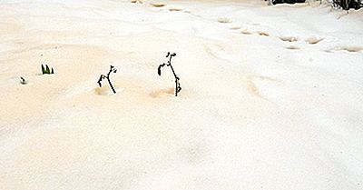 Was Verursacht Den Orange Schnee In Osteuropa?