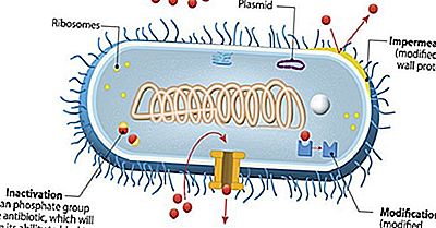 O Que É Resistência Antimicrobiana?