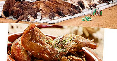 Was Ist Buschfleisch?