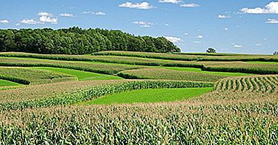 Che Cos'È L'Agricoltura Di Contorno?