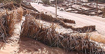 O Que É Desertificação?