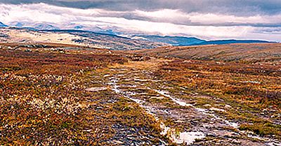 Hva Er Et Moorland?