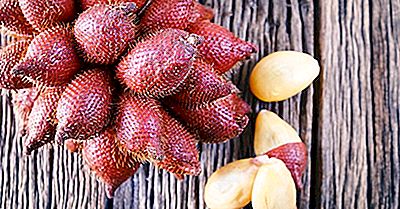 Cosa È Salak (Snake Fruit)?