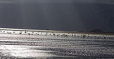 Was Ist Ein Soda Lake?