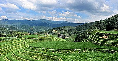 O Que É A Agricultura De Terraço?