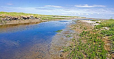 ¿Qué Es Un Tidal Creek En Geografía?