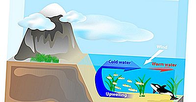 Wat Is Opwelling?