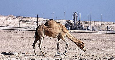 Waar Ligt De Arabische Woestijn?