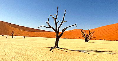 desert de kalahari