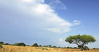 Où Est Le Plateau De L'Adamaoua?