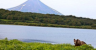 ¿Dónde Está La Península De Kamchatka?