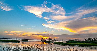 ¿Dónde Está El Delta Del Río Mississippi?