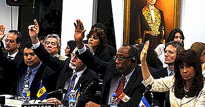 Organisationen Af ​​Amerikanske Stater (OAS)