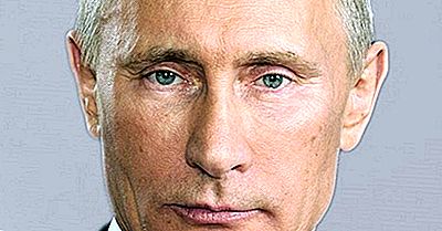 Presidentes De Rusia Desde La Caída De La Unión Soviética