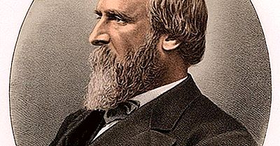 Rutherford B. Hayes, 19-Lea Președinte Al Statelor Unite