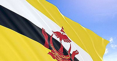 Ce Tip De Guvernare Are Brunei?