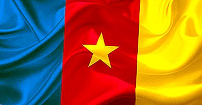 Welche Art Von Regierung Hat Kamerun?